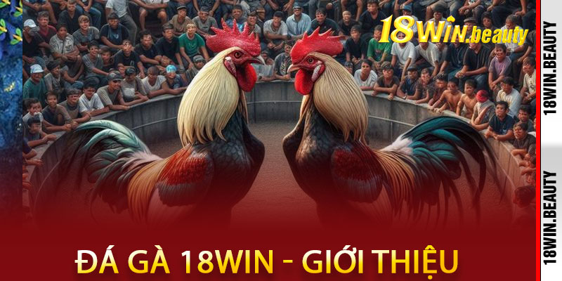 Giới thiệu tổng quan về đá gà 18Win