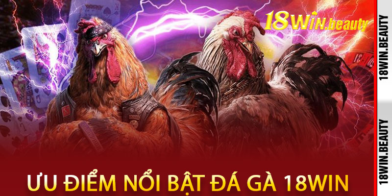 Ưu điểm nổi bật của đá gà 18Win